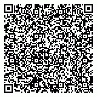 vCard 79378700390