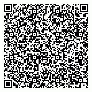 vCard 79378700391