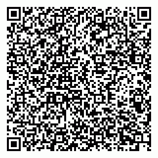 vCard 79378700394