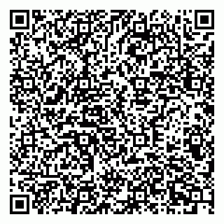 vCard 79378700395