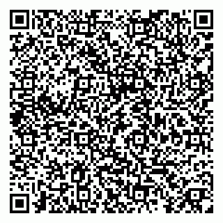 vCard 79379100029