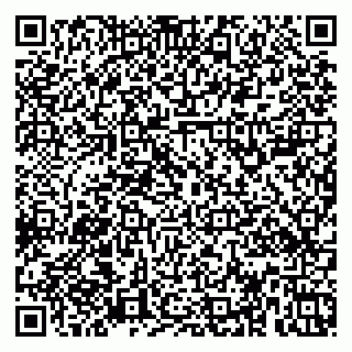 vCard 79379100033