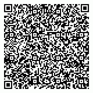vCard 79379100065