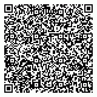 vCard 79379100073