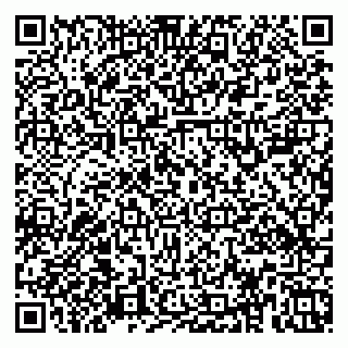 vCard 79379100085