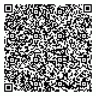 vCard 79379100131