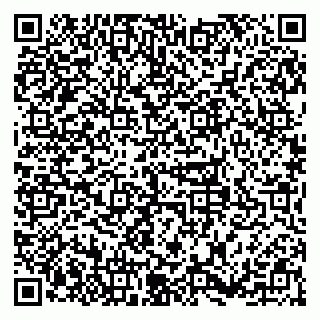 vCard 79379100138