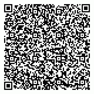 vCard 79379100153