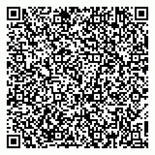 vCard 79379100163