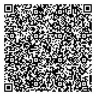 vCard 79379100173