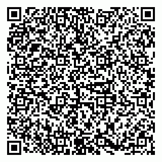 vCard 79379100213