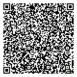 vCard 79379100217