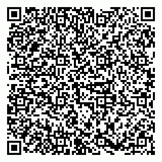 vCard 79379100233
