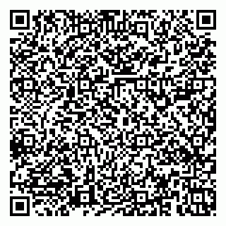 vCard 79379100263