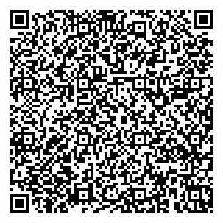 vCard 79379100272