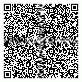 vCard 79379100273