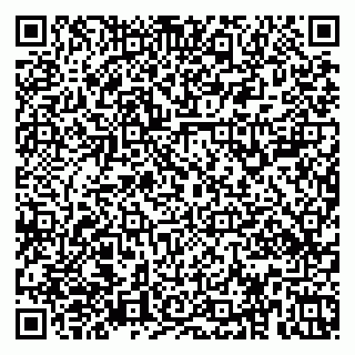 vCard 79379100281