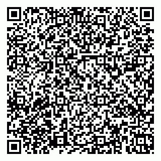vCard 79379100291