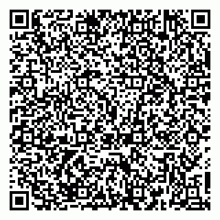 vCard 79379100293