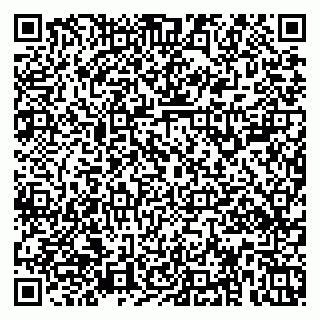vCard 79379100294