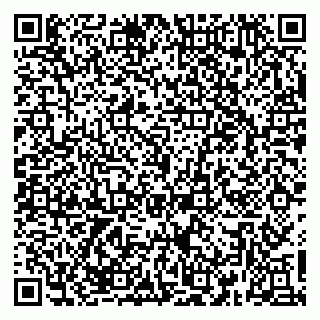 vCard 79379100295