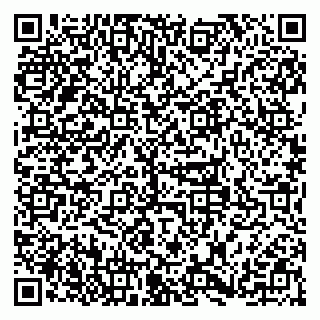 vCard 79379100299