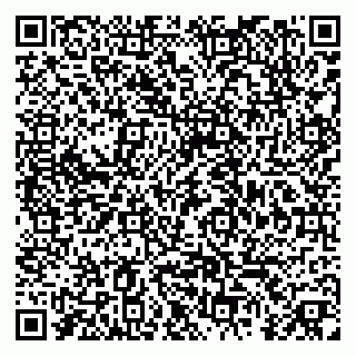 vCard 79379100300