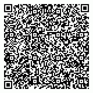 vCard 79379100305