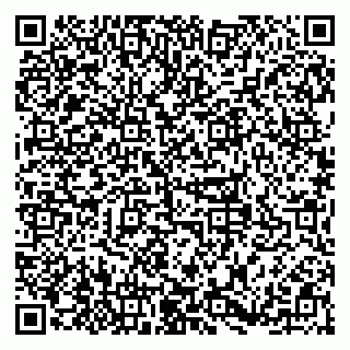 vCard 79379100311