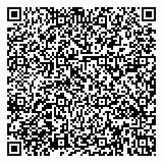vCard 79379100313
