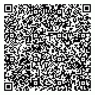 vCard 79379100317