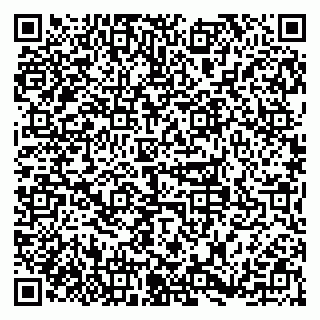 vCard 79379100319