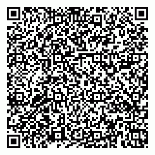 vCard 79379100323