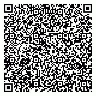 vCard 79379100324