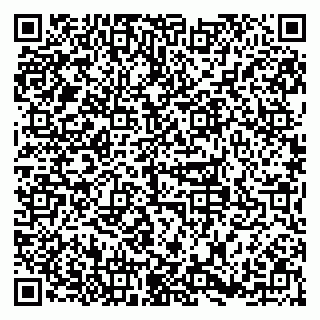 vCard 79379100325