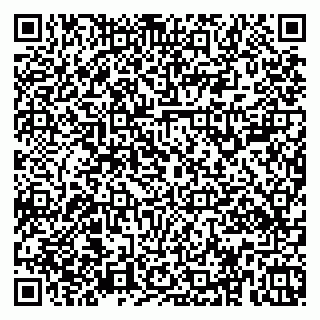 vCard 79379100329
