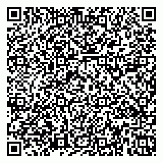 vCard 79379100331