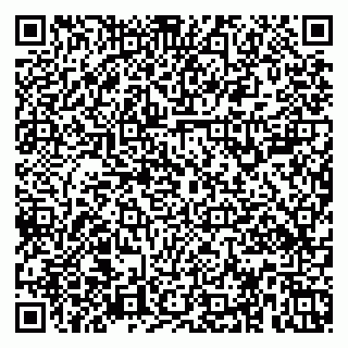 vCard 79379100337