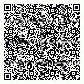vCard 79379100363
