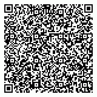 vCard 79379100371