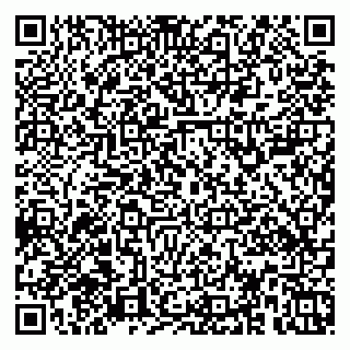vCard 79379100374