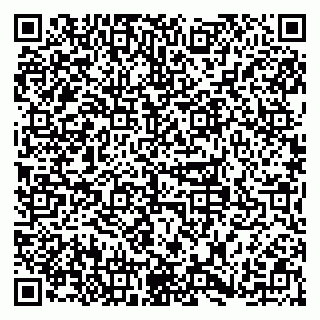 vCard 79379100381
