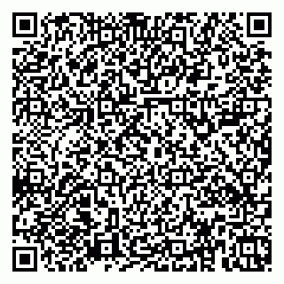 vCard 79379100388