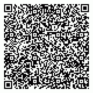 vCard 79379100389