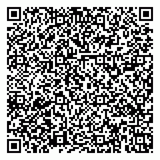 vCard 79379100393