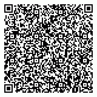 vCard 79379300019