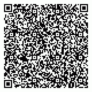 vCard 79379300037