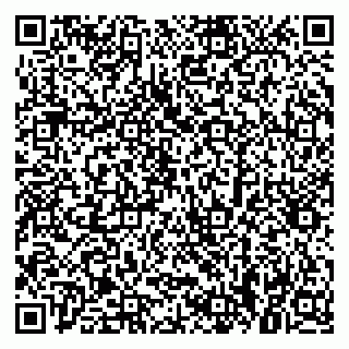 vCard 79379300039
