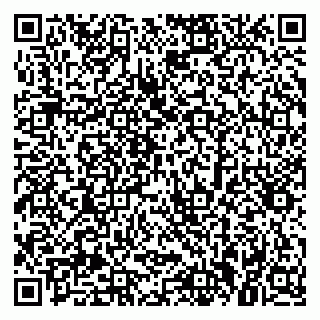 vCard 79379300041