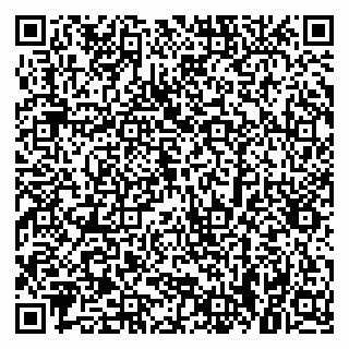 vCard 79379300049